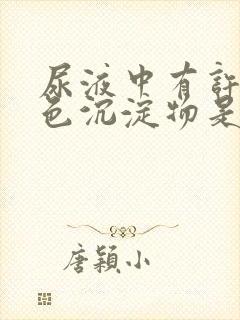 尿液中有许多白色沉淀物是什么原因