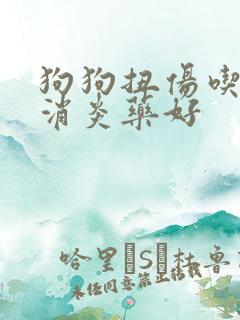 狗狗扭伤吃什么消炎药好