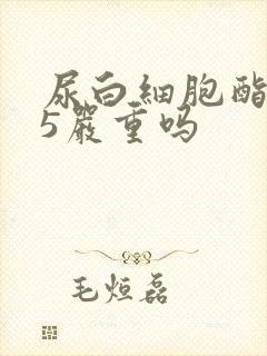 尿白细胞酯酶25严重吗