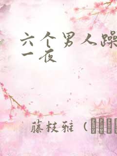 六个男人躁了我一夜