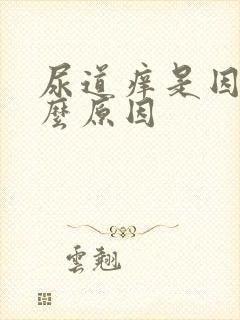 尿道痒是因为什么原因