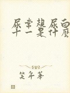 尿常规尿白细胞十一是什么意思