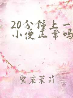 20分钟上一次小便正常吗