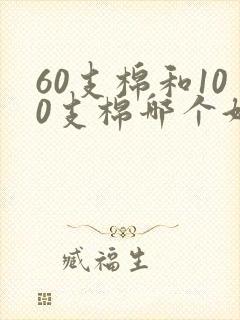 60支棉和100支棉哪个好