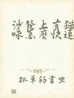 沙发上有猫尿骚味怎么快速去除