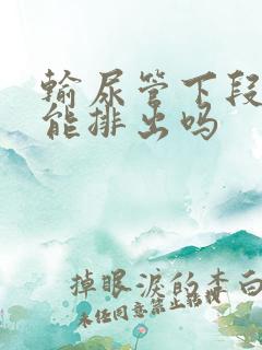 输尿管下段结石能排出吗