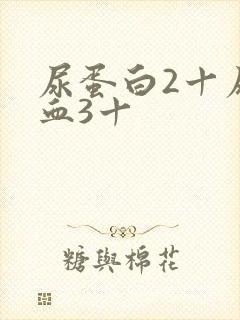 尿蛋白2十尿潜血3十