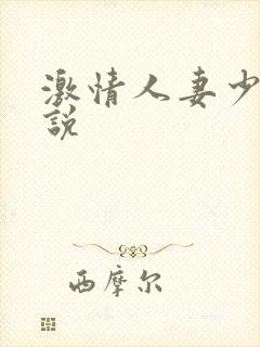 激情人妻少妇小说
