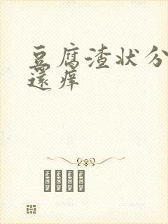 豆腐渣状分泌物还痒