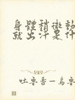 身体稍微动一下就出汗是什么原因