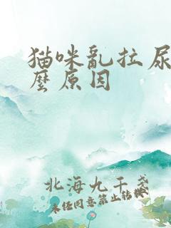 猫咪乱拉尿是什么原因