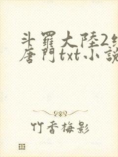 斗罗大陆2绝世唐门txt小说下载