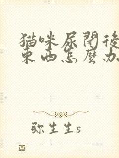 猫咪尿闭后不吃东西怎么办