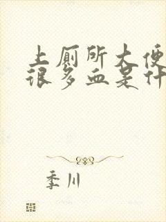 上厕所大便拉了很多血是什么问题