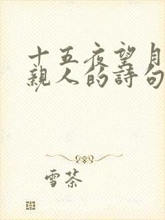 十五夜望月思念亲人的诗句