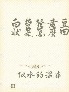 白带发黄豆腐渣状是怎么回事