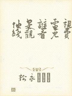 他是谁电视剧在线观看免费完整版