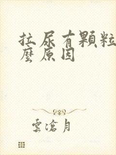 拉尿有颗粒是什么原因