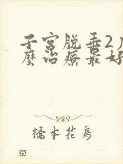 子宫脱垂2度怎么治疗最好