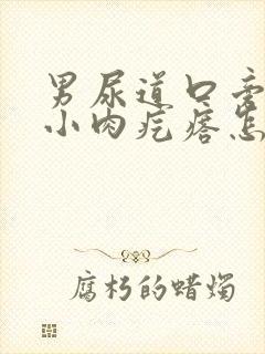 男尿道口旁边有小肉疙瘩怎么回事