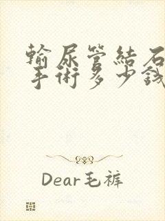 输尿管结石软镜手术多少钱