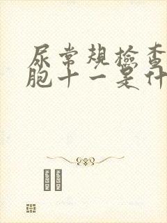 尿常规检查白细胞十一是什么意思