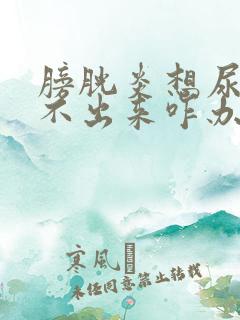 膀胱炎想尿又尿不出来咋办