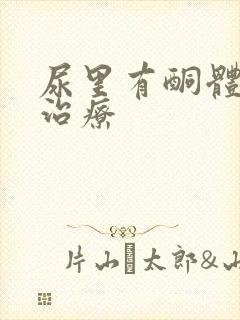 尿里有酮体怎么治疗