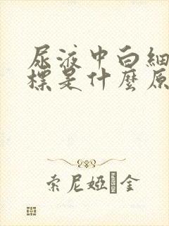 尿液中白细胞超标是什么原因