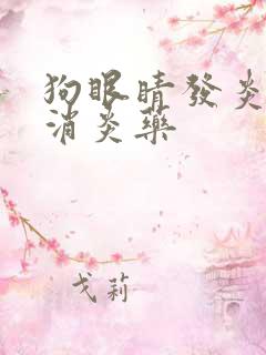 狗眼睛发炎十大消炎药