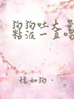 狗狗吐大量透明粘液一直喝水