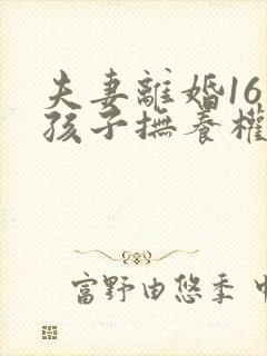 夫妻离婚16岁孩子抚养权怎么判定