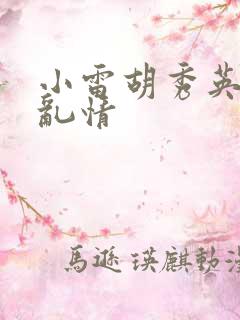 小雷胡秀英乡村乱情