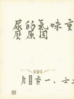 尿的气味重是什么原因