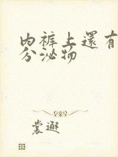 内裤上还有黑色分泌物