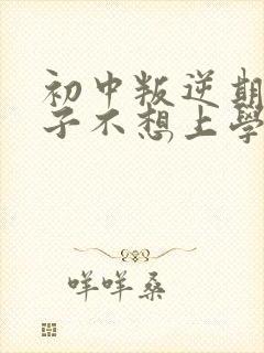 初中叛逆期的孩子不想上学