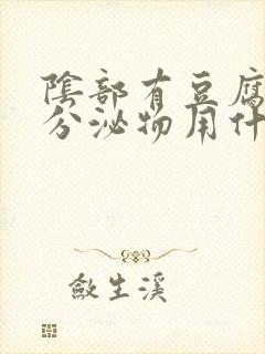 阴部有豆腐渣样分泌物用什么药