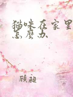 猫咪在家里乱尿怎么办