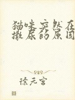 猫咪突然在床上撒尿的原因