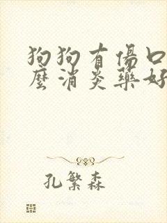 狗狗有伤口用什么消炎药好