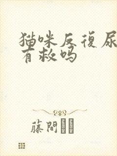 猫咪反复尿闭还有救吗