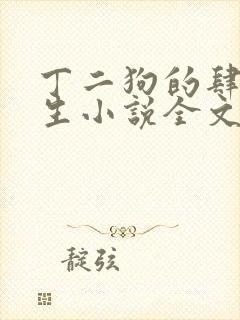 丁二狗的肆意人生小说全文免费阅读