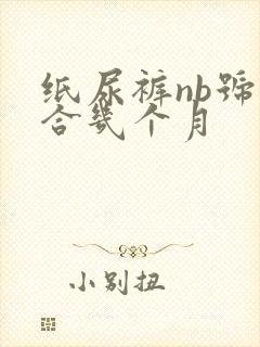 纸尿裤nb号适合几个月