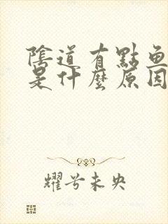 阴道有点鱼腥味是什么原因