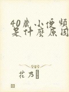 40岁小便频繁是什么原因