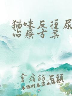 猫咪反复尿闭的治疗方案