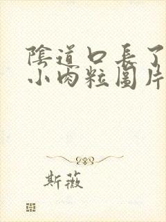 阴道口长了一个小肉粒图片