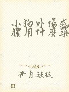 小狗外伤感染化脓用什么药效果好