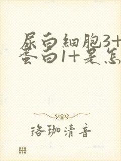 尿白细胞3+尿蛋白1+是怎么回事