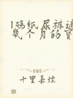 l码纸尿裤适合几个月的宝宝